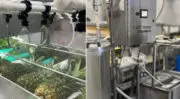 JBT Marel révolutionne la conservation de l’ananas avec sa nouvelle machine ProDose