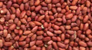 Menguy’s lance la première filière de cacahuètes françaises 