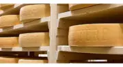 La nouvelle fromagerie de Ponthaux s’équipe d’un système frigorifique au R-515B pour refroidir un bassin d’eau glacée à 0°C