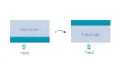 L&rsquo;EuPIA publie sa 5ᵉ version des BPF, un référentiel clé pour la sécurité des emballages alimentaires