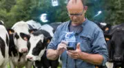 Elevage : Le groupe coopératif Innoval fait l’acquisition de l’éditeur de logiciel iCowsoft