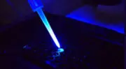 Mane renforce l’innovation sensorielle en agroalimentaire avec l’acquisition de ChemoSensoryx Biosciences