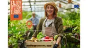 Financement record de l&rsquo;UE pour la promotion du secteur agroalimentaire en 2026