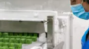 Légumes surgelés : Greenyard et Eureden concluent une alliance stratégique