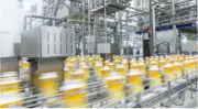 De la prévision des ventes à la réduction des pertes matières : VIF Software muscle ses solutions avec l’IA