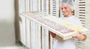 A quoi ressemblera l’industrie de la confiserie à l’horizon 2030 ?