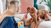 Petfood : Un secteur en mutation entre premiumisation, innovation et enjeux industriels