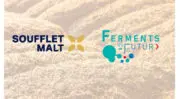 Soufflet Malt et Ferments du Futur misent sur la fermentation solide pour développer les ingrédients alimentaires de demain