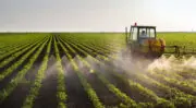 Industrie agroalimentaire : Comment financer les investissements de transformation et de décarbonation ?
