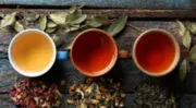 Le marché des thés et infusions porté par le bien-être et les nouvelles tendances de consommation