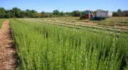 Arcadie se transforme en Société coopérative d’intérêt collectif et ouvrira prochainement un nouveau site de production éco-construit
