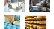Performance, traçabilité et logistique : Le choix numérique de la Fromagerie Gillot