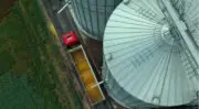 Coopératives agricoles : L’Autorité de la concurrence valide la fusion entre Euralis et Maïsadour sous conditions