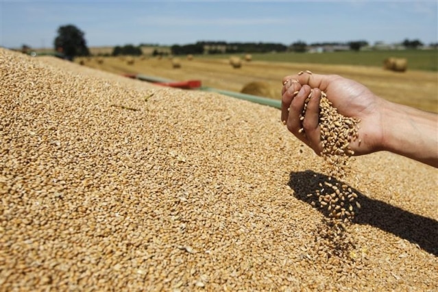 Agro-écologie : la sélection génétique et l’insémination minimisent l’impact de l’élevage sur l’environnement