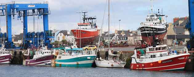 Pêche : impacts insoupçonnés de l’interdiction du rejet des poissons