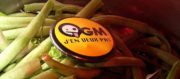 OGM : la culture de maïs transgénique définitivement interdite