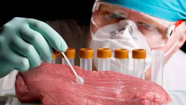 Viande in vitro : une production non rentable