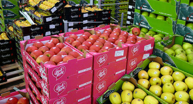 Fruits et légumes : les invendus à cause de l’embargo russe seront transformés et donnés aux associations