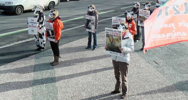Ferme des 1 000 vaches : les militants convoqués au tribunal
