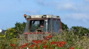 Agriculture : Une étude de l’INVS rapporte que tous les deux jours, un agriculteur se suicide