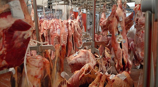 Viande : Les autorités russes ont saisi plus de 600 tonnes de viande européenne illégalement importée