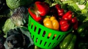 Agriculture : En colère, les agriculteurs distribuent des fruits et légumes aux Parisiens