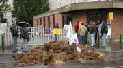 Des agriculteurs en colère déversent du fumier dans le centre-ville de Lille