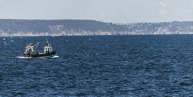 Pêche : accord conclu sur les quotas en 2015
