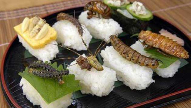 https://www.agro-media.fr/wp-content/uploads/2014/12/insectes-restaurant.jpg