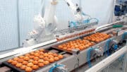 Agroalimentaire : les robots remontent la chaîne de production