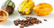 La crise fait chuter la consommation de cacao dans le monde