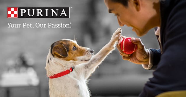 TerraVia et Nestlé Purina s’associent dans l’alimentation animale