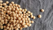 Carrefour et Avril s’associent pour lancer une filière durable de soja 100% origine France