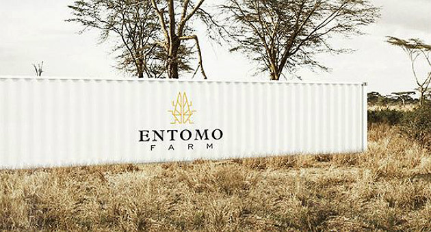 Entomo Farm, premier fabricant de systèmes industriels pour l’élevage d’insectes, se met au crowdfunding