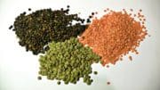 Givaudan croque le spécialiste des arômes Spicetec Flavors & Seasonings