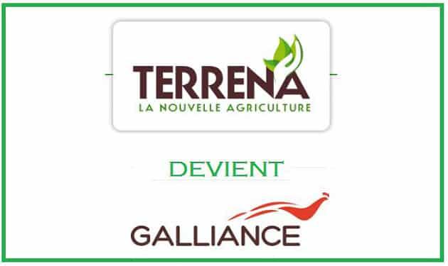 Le pôle Volaille de Terrena devient Galliance