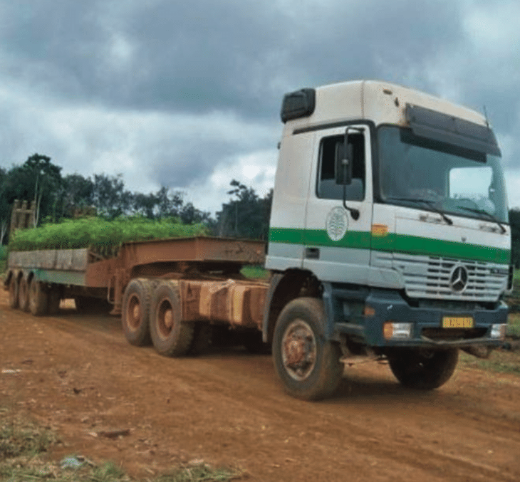 Croissance des IAA : La performance du Gabon