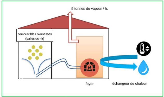 Neovia installe une chaudière à biomasse au Vietnam