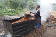 L’huile de palme bientôt remplacée par Substipalm ?