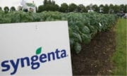 Agrochimie : Feu vert pour l’acquisition de Syngenta par ChemChina