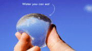Ooho veut révolutionner le marché de l’eau