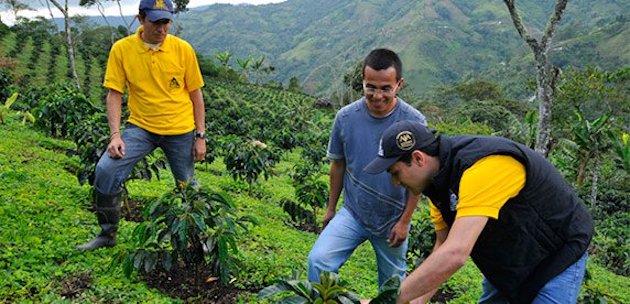 Nespresso va investir dans le café colombien