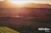 RSE : AB InBev lance son 100+ Sustainability Accelerator