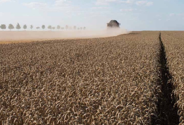 Agroécologie : L’Europe vote l’interdiction de trois néonicotinoïdes