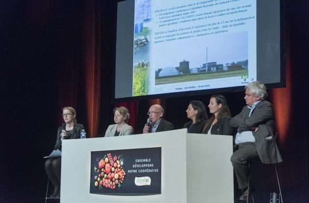 Agroécologie : Savéol veut développer la transition énergétique chez les maraîchers