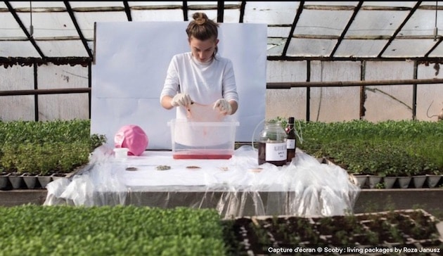 Innovation : exportation d'un séchoir alimentaire écologique vers Maurice