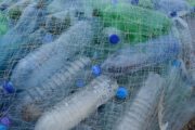 R&D : Adopter des alternatives au plastique, le grand défi des industries agroalimentaires