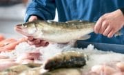 Tendance : Les produits de la mer en France séduisent de plus en plus les Millénials