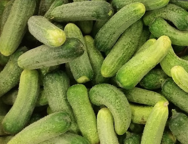 Cornichon français :  Deux fois plus de bocaux en rayons cette année