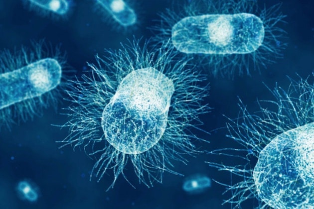 Sécurité alimentaire : Clear Labs reçoit la certification AOAC pour les tests de dépistage de Salmonella